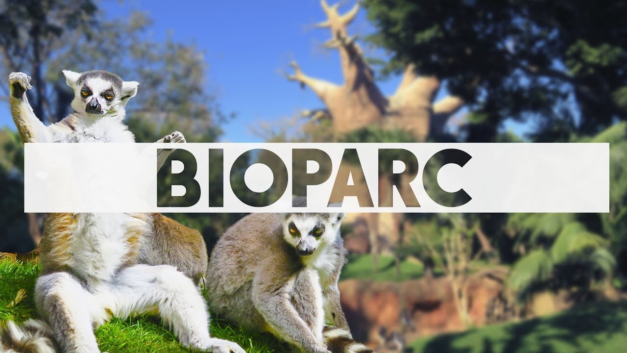 Bio parc zoo in fuengirola